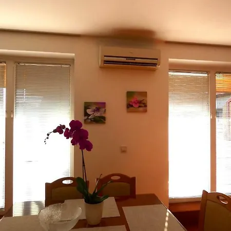 Paradise Apartamento *
